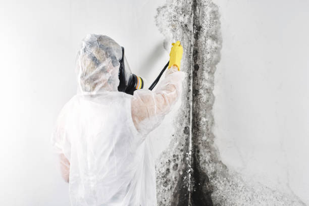 Water damage restoration